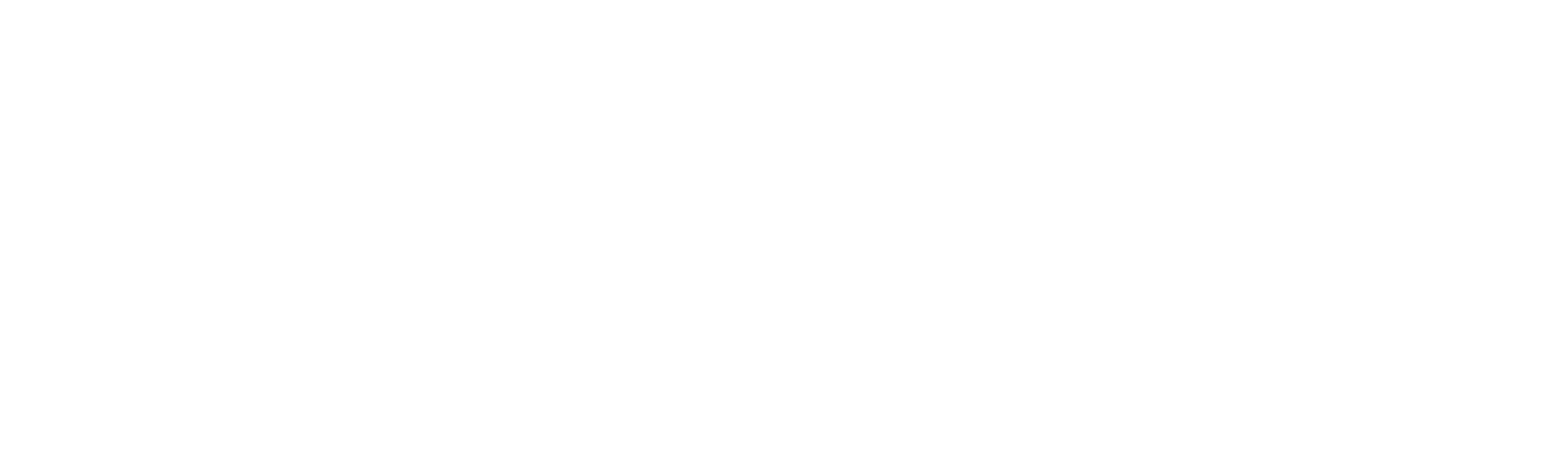 main logo